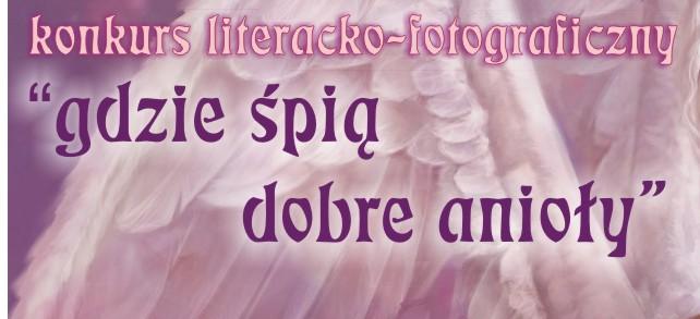 Wyniki konkursu „Gdzie śpią dobre anioły” 2013