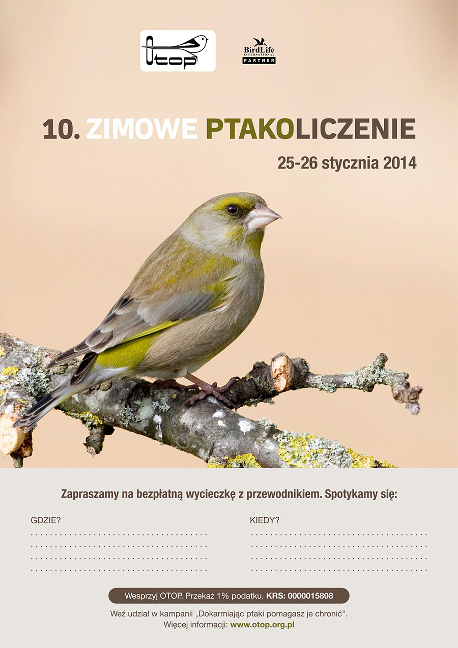 Ptakoliczenie w Sulęcinie