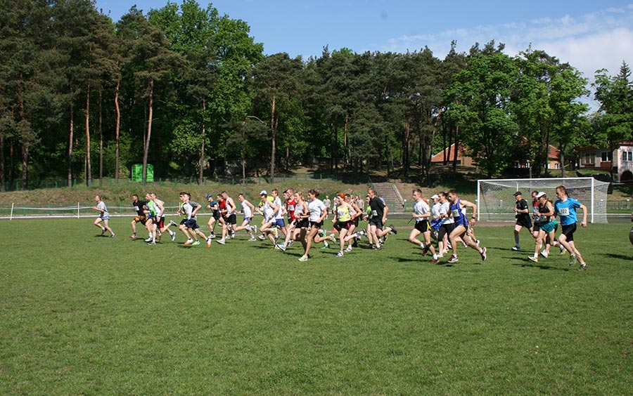 28. Cross Sulęty