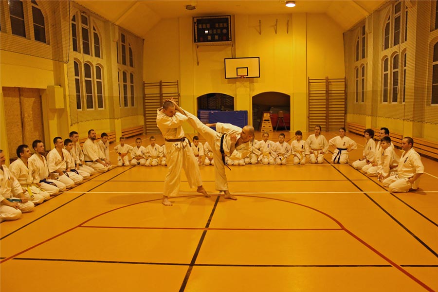 Letnia akademia karate