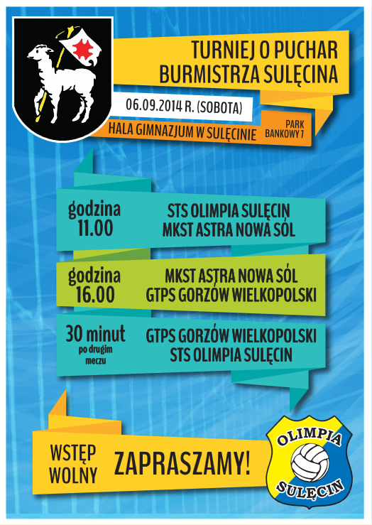 Turniej siatkówki o Puchar Burmistrza Sulęcina