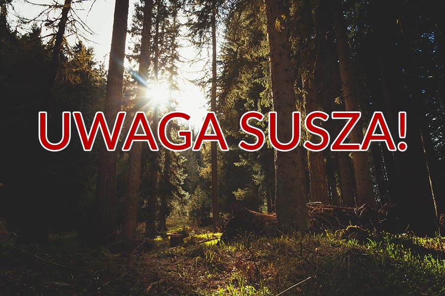 IMGW ostrzega: susza hydrologiczna!