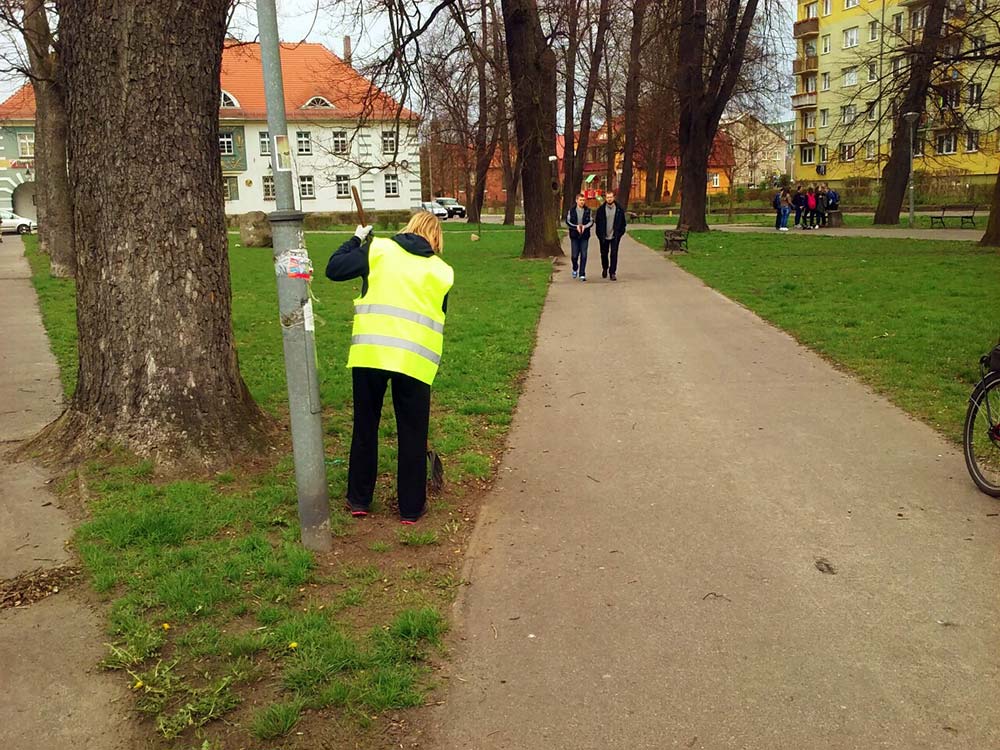 O czystości w parkach i psich odchodach
