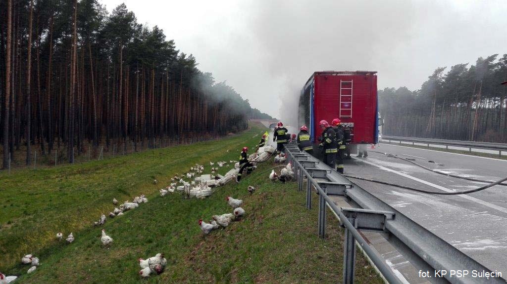 Pożar ciężarówki przewożącej drób
