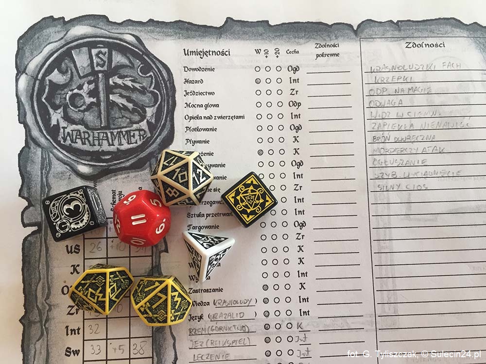 RPG w Sulęcinie