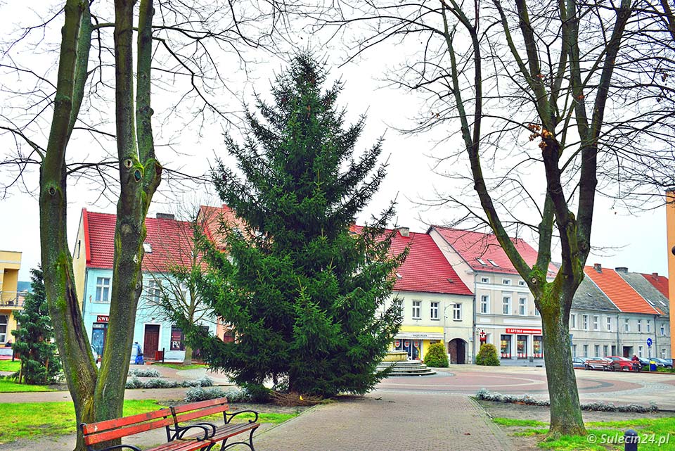 W Rynku stanęła choinka