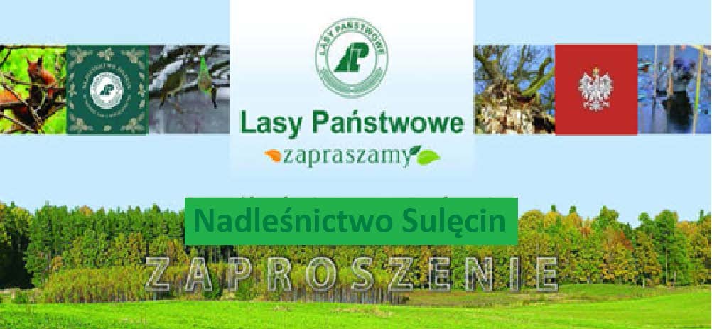 Uroczystość wręczenia Sztandaru Nadleśnictwu Sulęcin