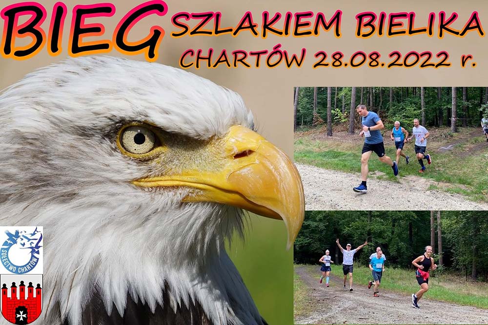 Cykliczny Bieg Szklakiem Bielika – ruszają zapisy