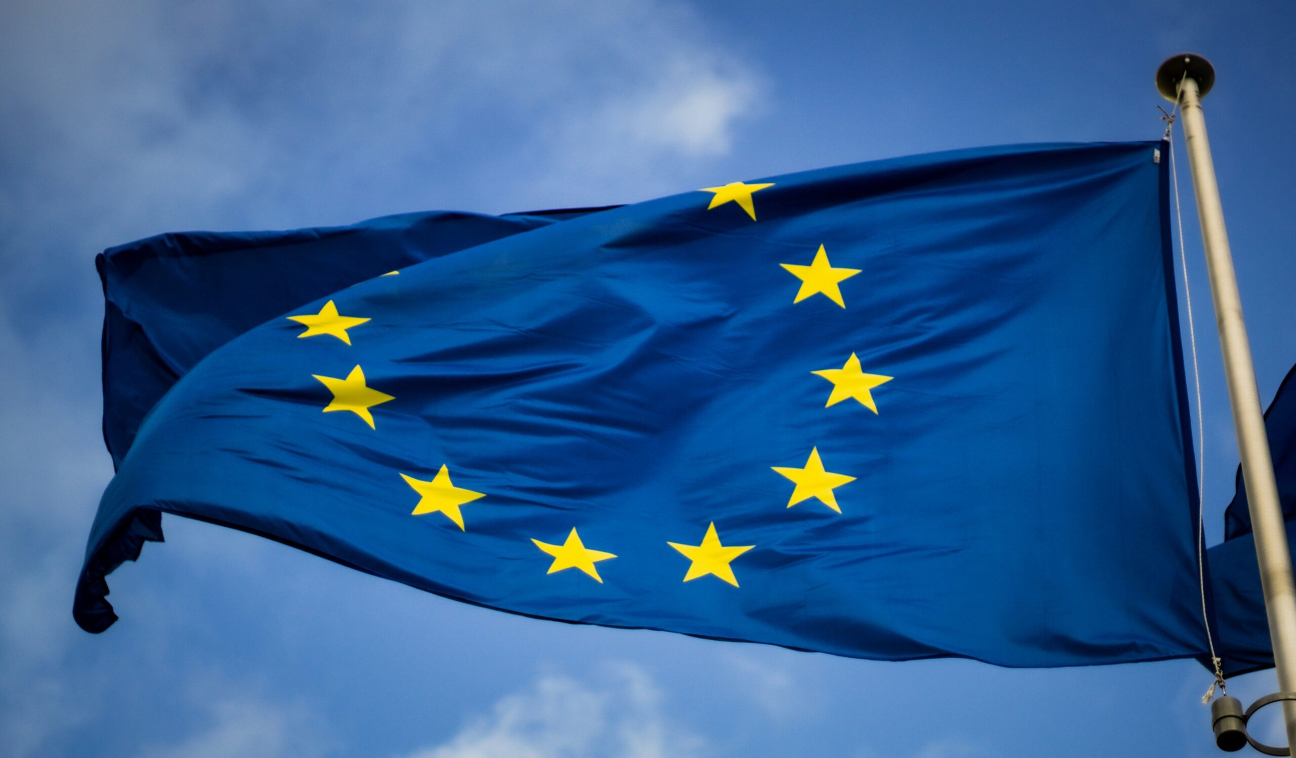 Wybory do Parlamentu Europejskiego! Jakie wyniki w Lubuskiem?