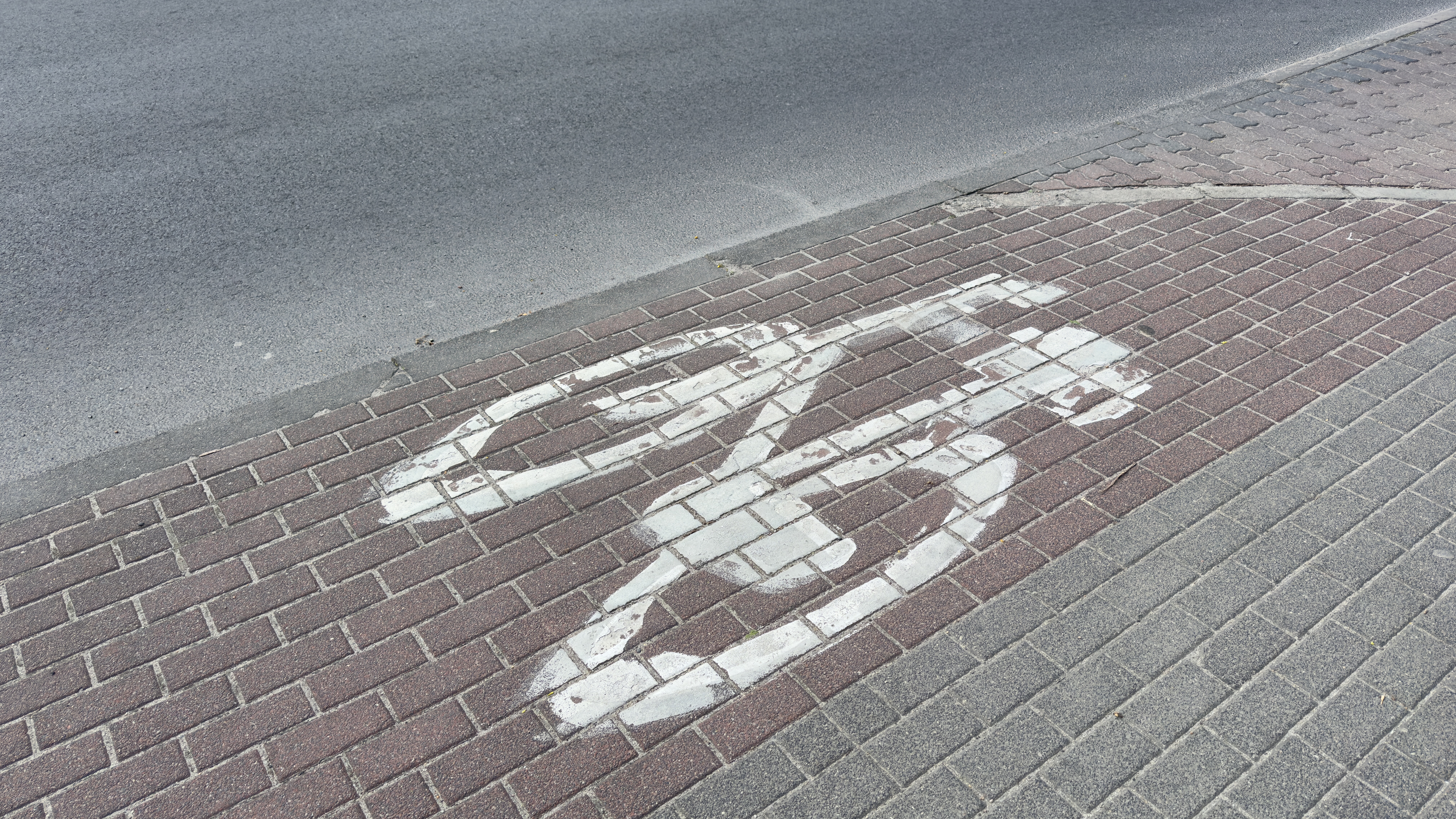 Rowerem po powiecie sulęcińskim: 7 tras wśród jezior, lasów i ptasich siedlisk