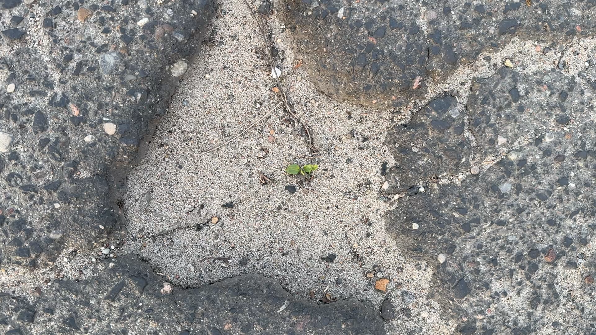 Z 12 powiatów w Lubuskiem, 11 wzięło pieniądze na remonty dróg. Jeden o te środki nawet się nie starał.