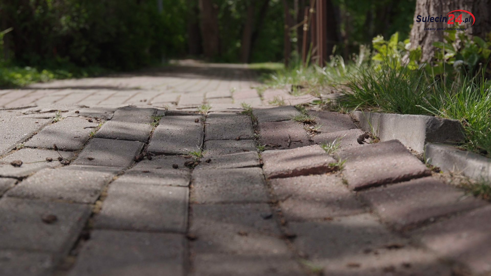 Lubniewicka promenada nie dla wszystkich