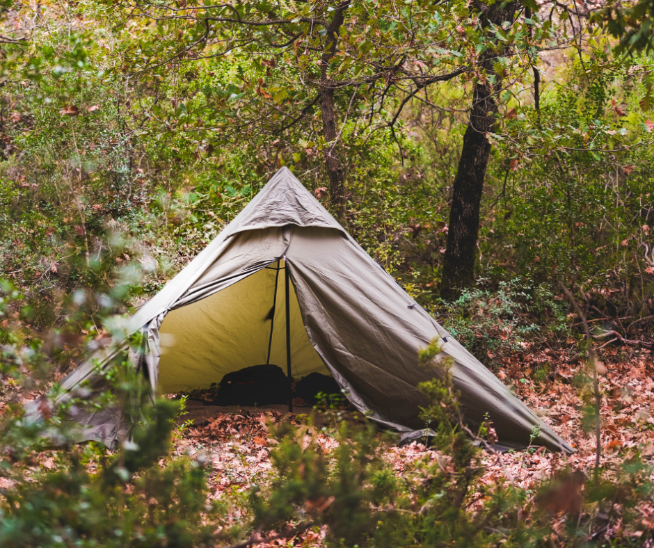 Nadleśnictwo Sulęcin otwiera las na nocleg – legalne biwakowanie w nowym wymiarze