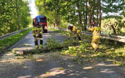 Wichura paraliżuje Lubniewice. Droga zablokowana, strażacy dwukrotnie w akcji