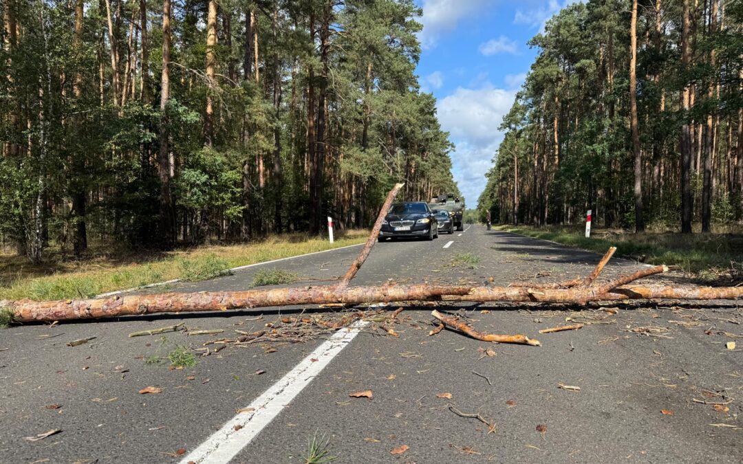 Drzewo zablokowało drogę między Lubniewicami a Gorzowem