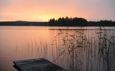 Przegląd tygodnia: remont w Prześlicach, dachowanie w Wędrzynie, jubileusz Sulecin24 i więcej!