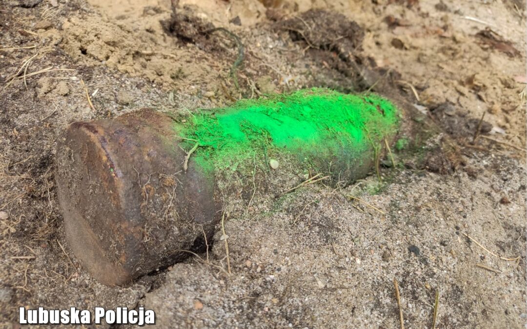 Policja ostrzega: kolejne niewybuchy w lasach powiatu sulęcińskiego