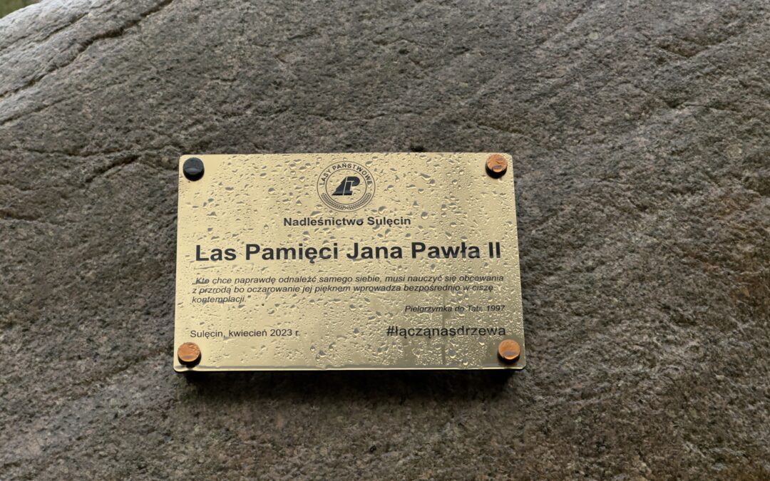 Papież w Sulęcinie: ulica, las i szkoła noszą jego imię