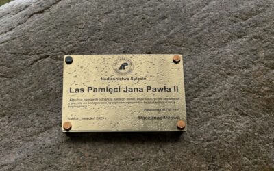 Papież w Sulęcinie: ulica, las i szkoła noszą jego imię