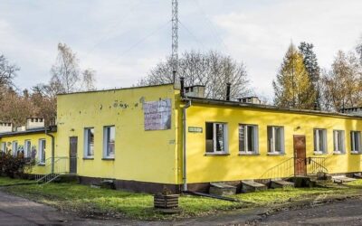 Likwidacje i łączenie placówek? Burmistrz Miasta i Gminy Torzym wydała oświadczenie w sprawie oświaty