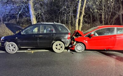 [ZDJĘCIA] AKTUALIZACJA: Poranny chaos na drogach. Potrącenie pieszego w Krzeszycach i wypadek na DK22