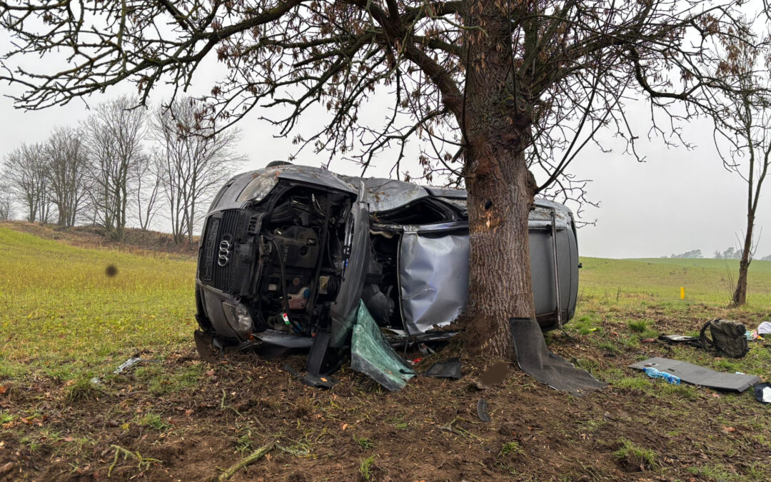 Audi uderzyło w drzewo na DW136 koło Lubniewic – kierowca ranny [ZDJĘCIA]