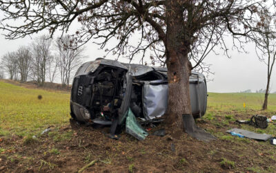 Audi uderzyło w drzewo na DW136 koło Lubniewic – kierowca ranny [ZDJĘCIA]