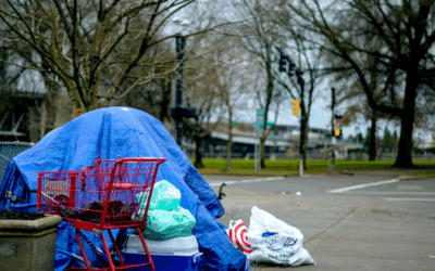 Pustostany zamiast schronisk. Bezdomność zimą w powiecie sulęcińskim