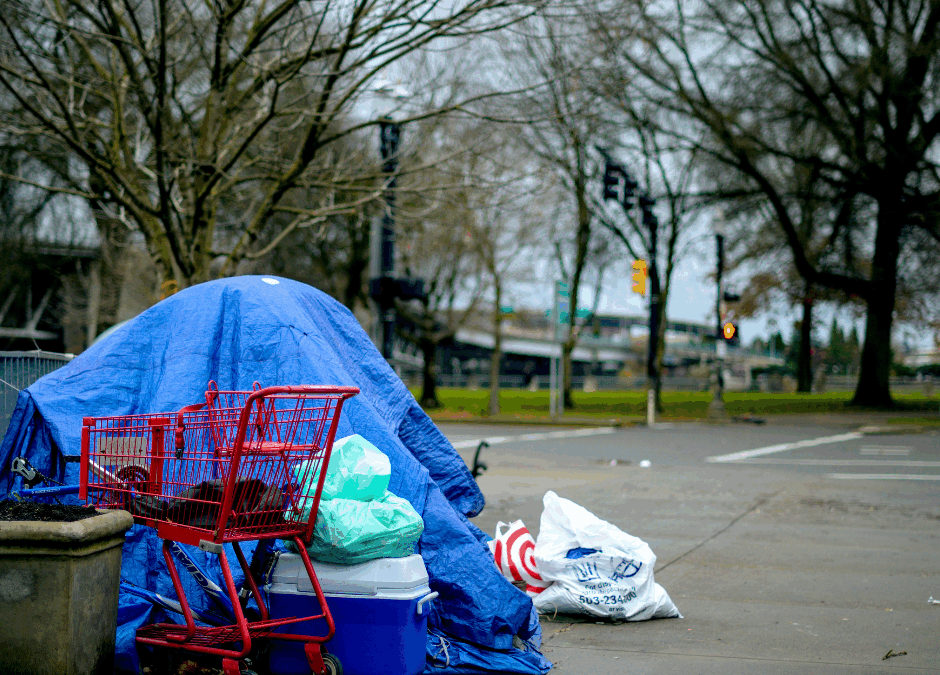 Pustostany zamiast schronisk. Bezdomność zimą w powiecie sulęcińskim
