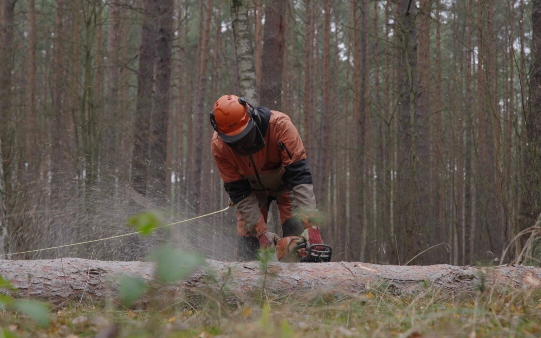 Gdzie drwa rąbią, tam drwale lecą? Czy silnych facetów zastąpią bezduszne maszyny?