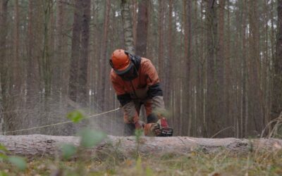 Gdzie drwa rąbią, tam drwale lecą? Czy silnych facetów zastąpią bezduszne maszyny?