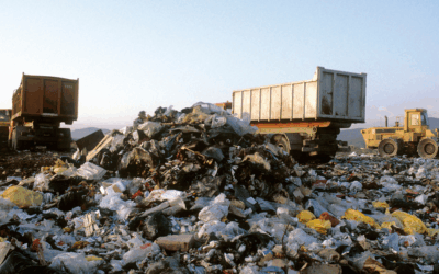 Harmonogram wywozu odpadów w gminach powiatu sulęcińskiego