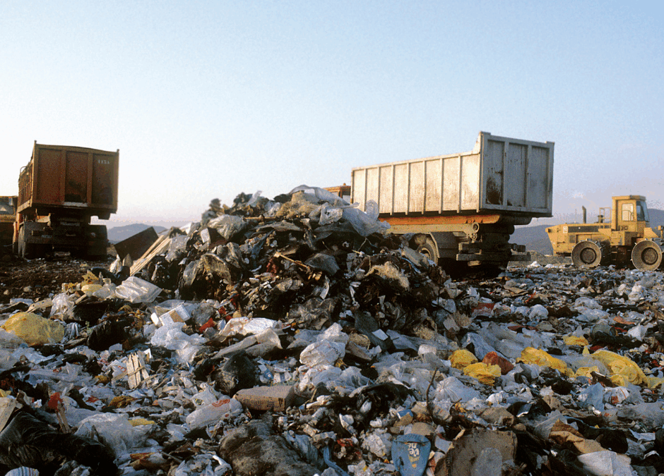 Harmonogram wywozu odpadów w gminach powiatu sulęcińskiego