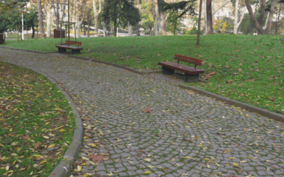 Ponad 1,2 mln zł dofinansowania na przebudowę parku w Lubniewicach