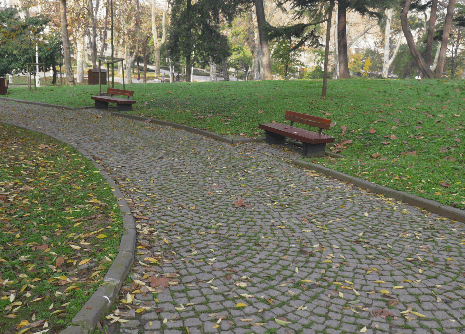 Ponad 1,2 mln zł dofinansowania na przebudowę parku w Lubniewicach
