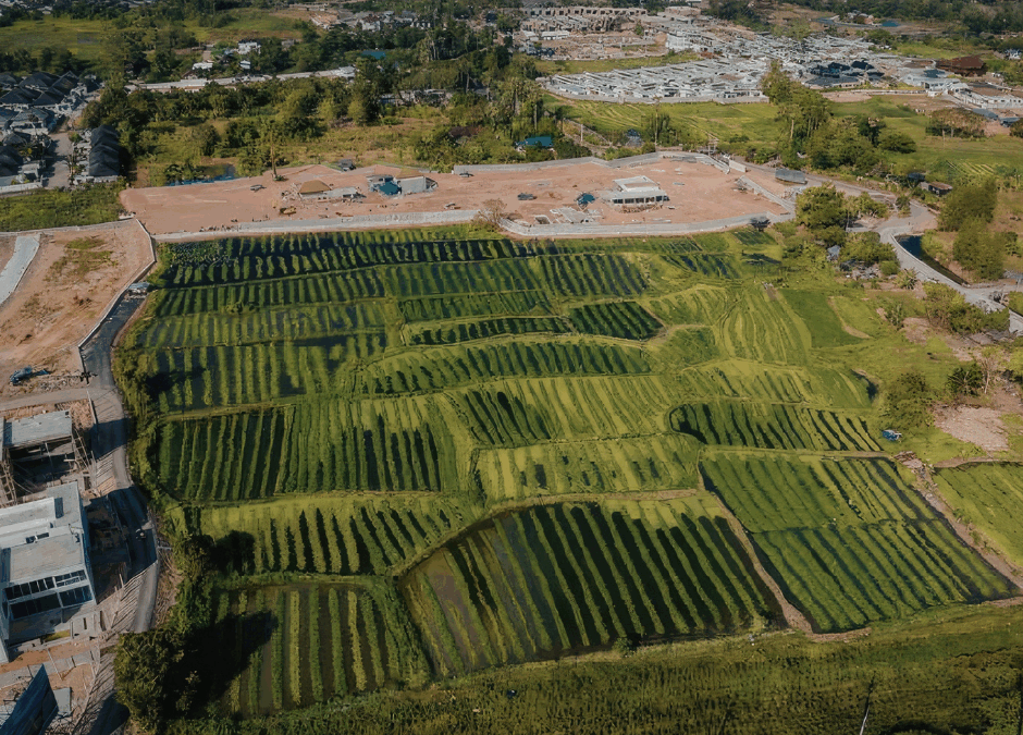 Kolejne 29 działek na sprzedaż. Gmina Torzym ogłosiła nowy przetarg