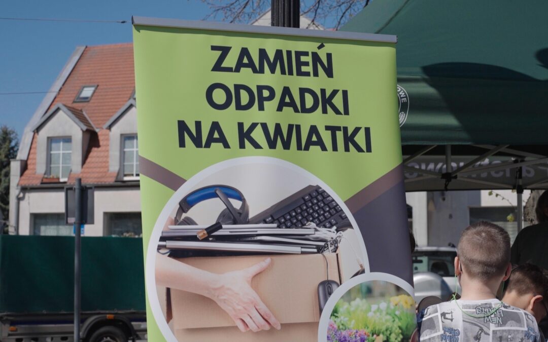 W Torzymiu rozdawali kwiatki za… odpadki. Więcej w materiale WIDEO