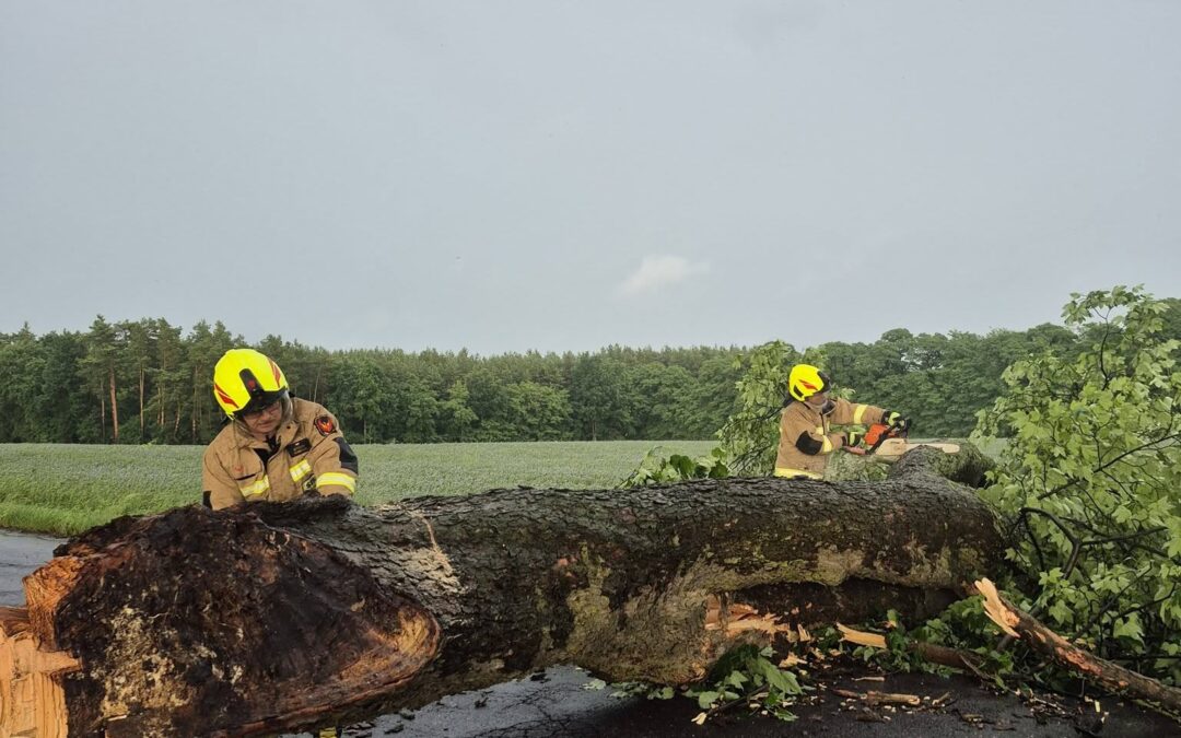 Burze nad powiatem sulęcińskim. Strażacy usuwali powalone drzewa i zagrożenia na drogach