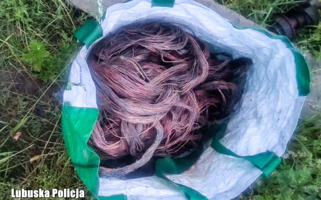 Ślady kabli doprowadziły policjantów prosto do posesji. 28-latek próbował ich przekupić