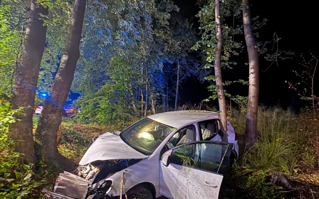 Auto uderzyło w drzewo na DW138. Cztery osoby zostały poszkodowane