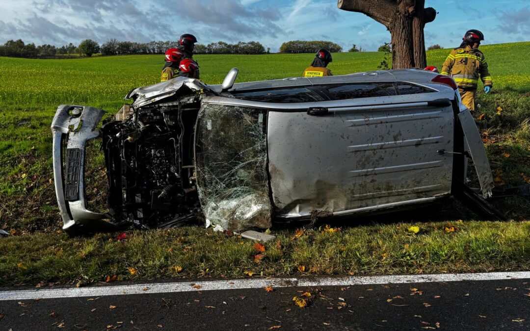 Śmiertelny wypadek na DW136 koło Lubniewic. Nie żyje kierująca